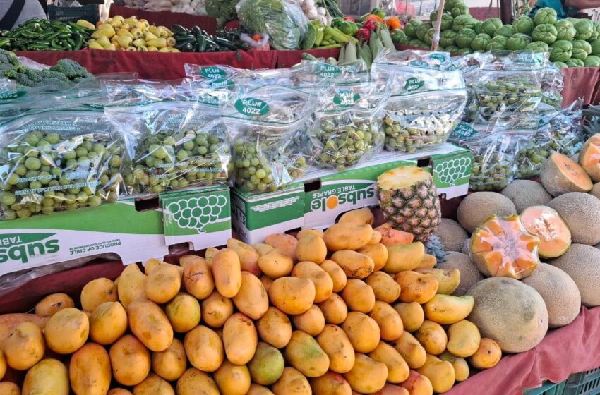  Frutas se convierten en el alimento preferido durante la temporada de calor | Zona Franca