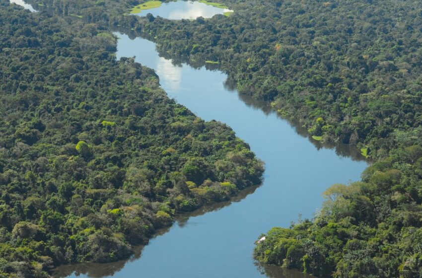  La Campaña de la Fraternidad llama a cuidar más el medioambiente | Agência Brasil – EBC