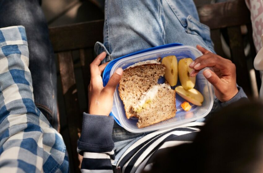  Fecha límite en que desaparecerá la comida chatarra en las escuelas de México – ADN 40