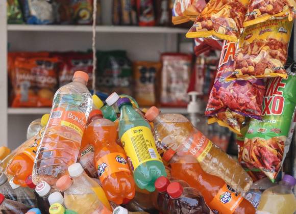  ONG presenta plataforma para monitorear alimentos en escuelas – Vanguardia