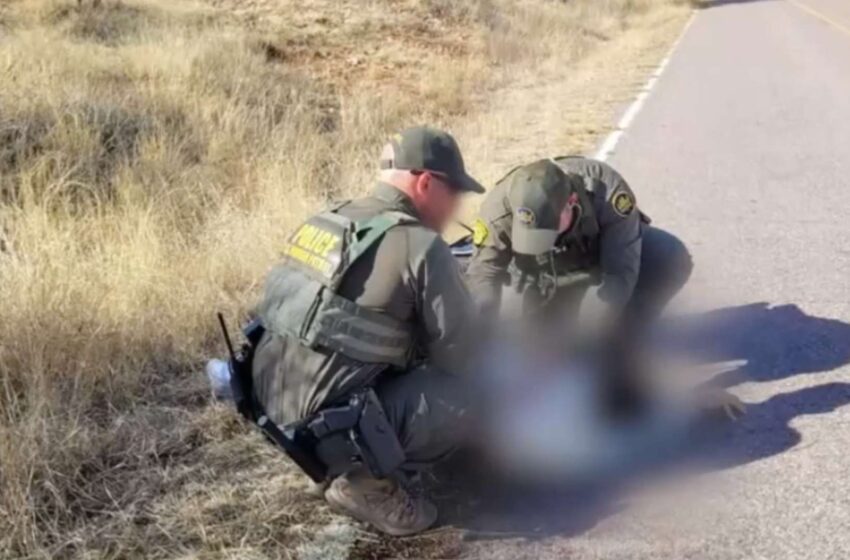  Trata de Personas en Sonora: Sorprenden a Hombre Traficando Personas e Intenta Huir en Frontera