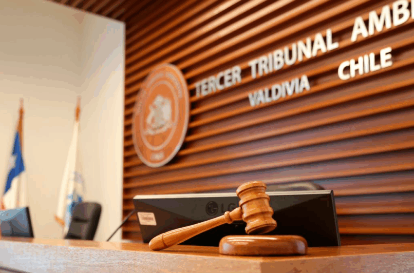  Tercer Tribunal Ambiental confirma sanción de la SMA contra grupo de empresas que …