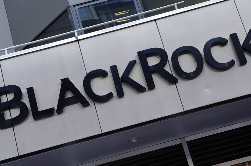 BlackRock reduce su participación en Redeia y Amancio Ortega se coloca como su segundo mayor accionista
