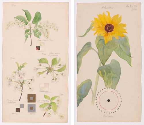 La pintora Hilma af Klint conecta en su obra el mundo vegetal con el alma