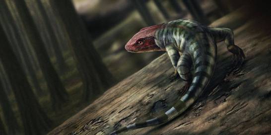 Descubren las huellas de reptil más antiguas conocidas