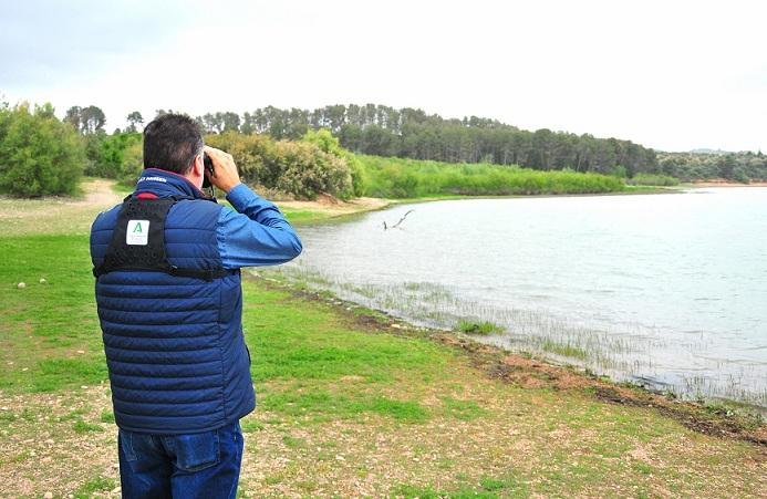 Desciende el número de aves y especies acuáticas censadas en las cada vez más escasas …