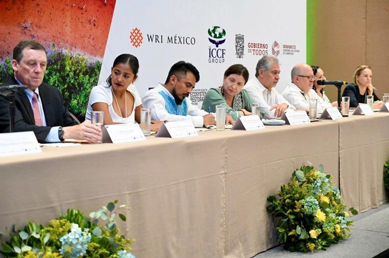 Salvar los manglares: el plan que nace en Campeche – Maya Comunicación