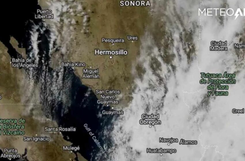 Hermosillo presenta primeras lluvias leves de la temporada por 'Alvin'; este es el pronóstico …