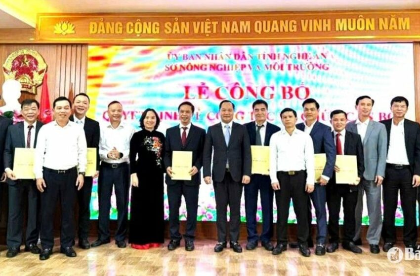 El Departamento de Agricultura y Medio Ambiente de Nghe An se esfuerza por completar y …