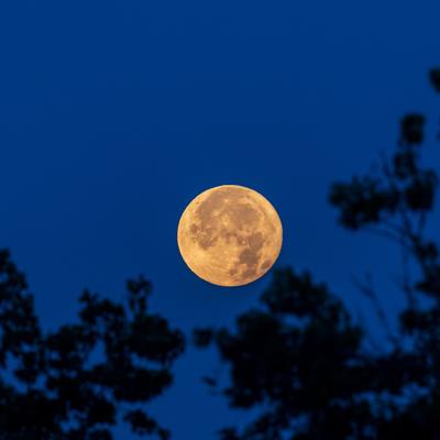 Estos son los fenómenos astronómicos que marcarán el mes de junio de 2025