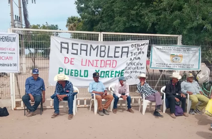 Toma del INPI frena apoyos, denuncian gobernadores mayos – Diario del Yaqui