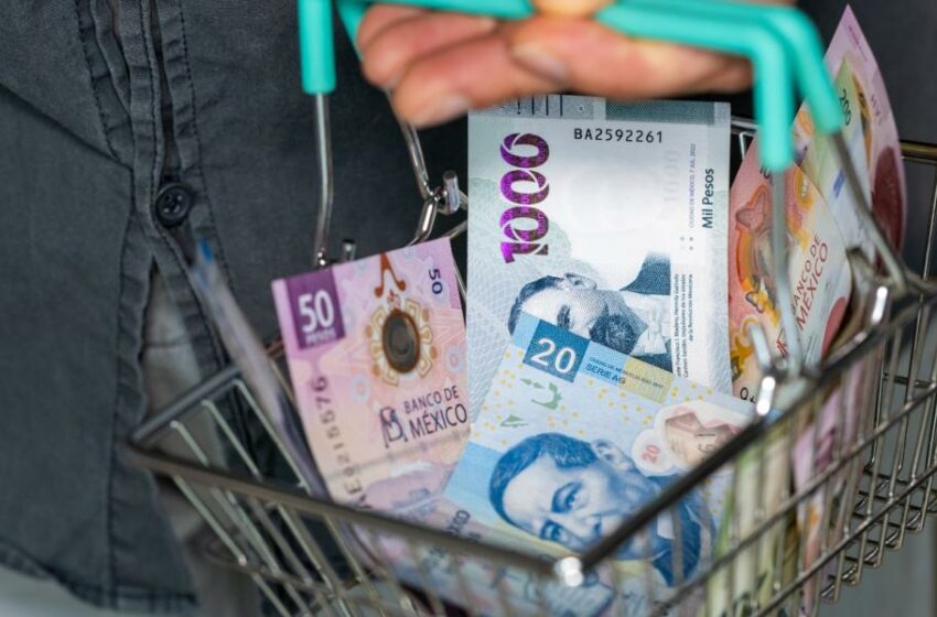 Salario mínimo sube, pero no alcanza: persisten brechas y desigualdad – El Economista