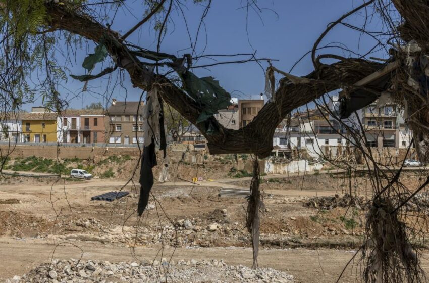 Medio Ambiente proyecta una red de parques inundables junto al Turia, la Saleta y el Poyo