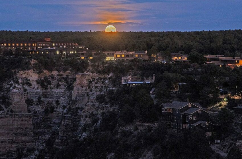 ¿Cuándo hay Luna Llena en mayo? Todo lo que debes saber sobre la Microluna Flor 2025