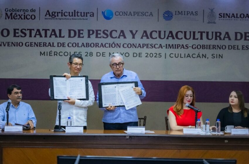 Destaca Sinaloa por programa de entrega de motores marinos y panga, en beneficio de pescadores