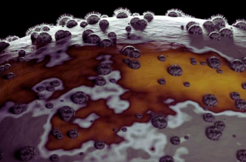 Una bacteria jamás vista en la Tierra aparece en la estación espacial china: ¿Nació en el espacio?