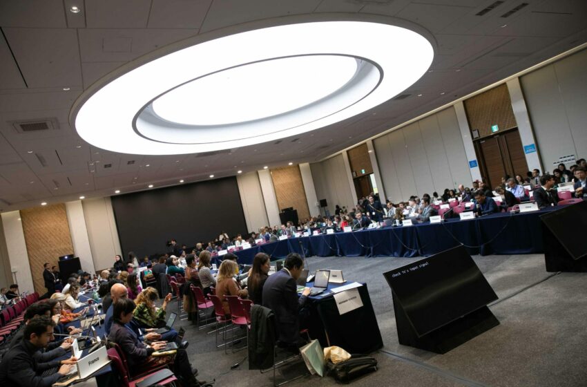 Conflicto de intereses en el Tratado Mundial sobre los Plásticos