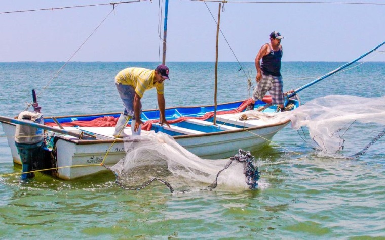 Volver la vocación al campo, pesca y la acuacultura – Campeche HOY