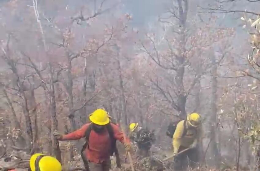 Gobierno de Sonora avanza en el combate de incendios forestales – Marquesina Política
