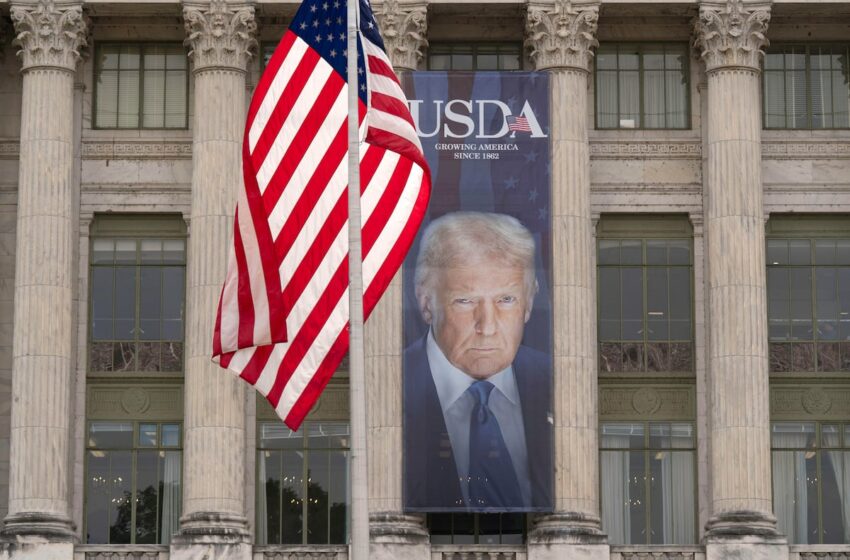 Trump presiona a Walmart para que se “coma” los aranceles y no suba los precios
