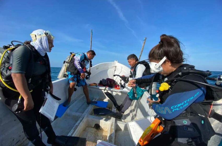YUCATÁN | Renueva Celestún su compromiso con la pesca sustentable; declaran nuevo …