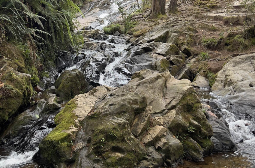 Pago por Servicios Ambientales Hídricos – Alcaldía de Medellín