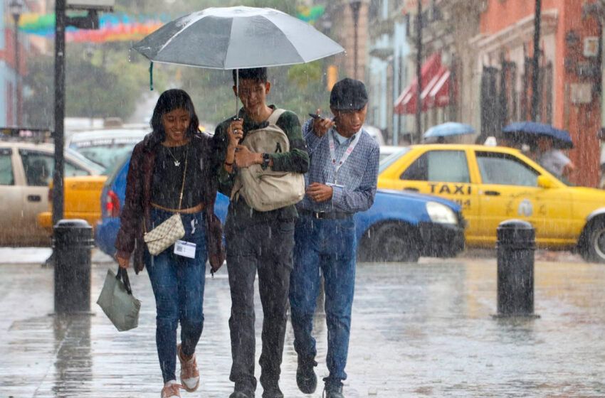 'Alvin' se intensifica con 'lluvias muy fuertes e intensas' este viernes | SMN
