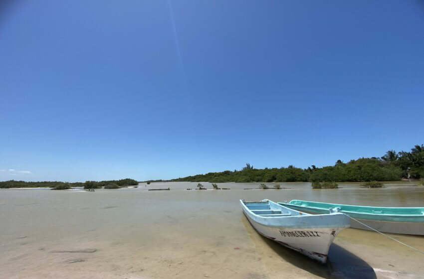Náufragos en Yucatán, de cuando la pesca se vuelve cuestión de vida o muerte