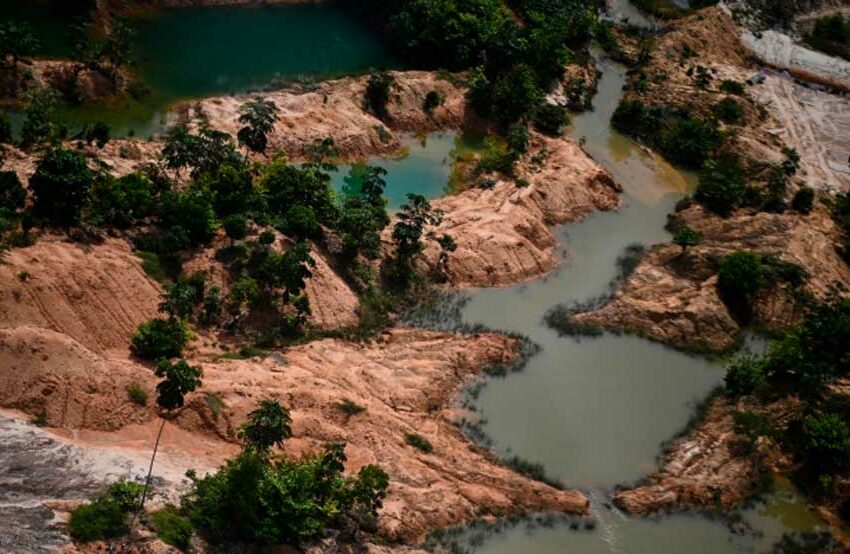 La minería ilegal del oro sacude a Bolivia – El Diario