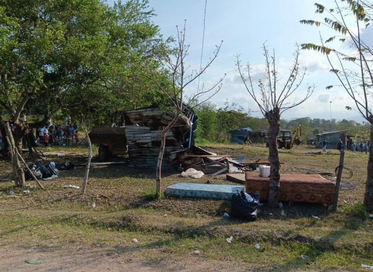 Fiscalía del Ambiente neutraliza y desaloja personas de terreno que sirve de cría de …