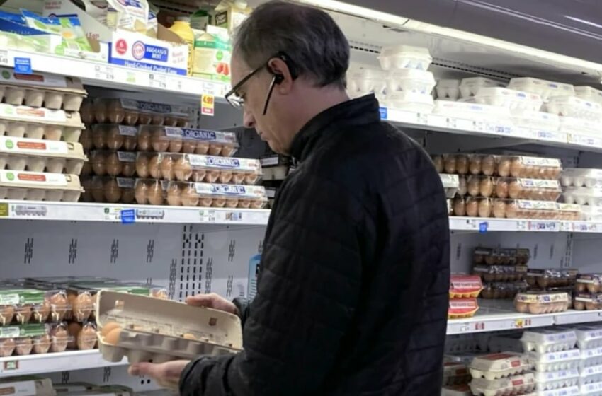 Registra Monterrey la mayor inflación en el año – El Financiero