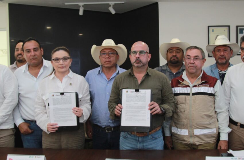 Firman SEDARPE y CICY Convenio Para la Investigación del Manejo Integrado de Plagas