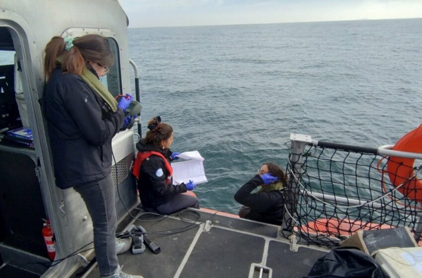 Gobernación Marítima de Valparaíso realizó monitoreo ambiental en la bahía |
