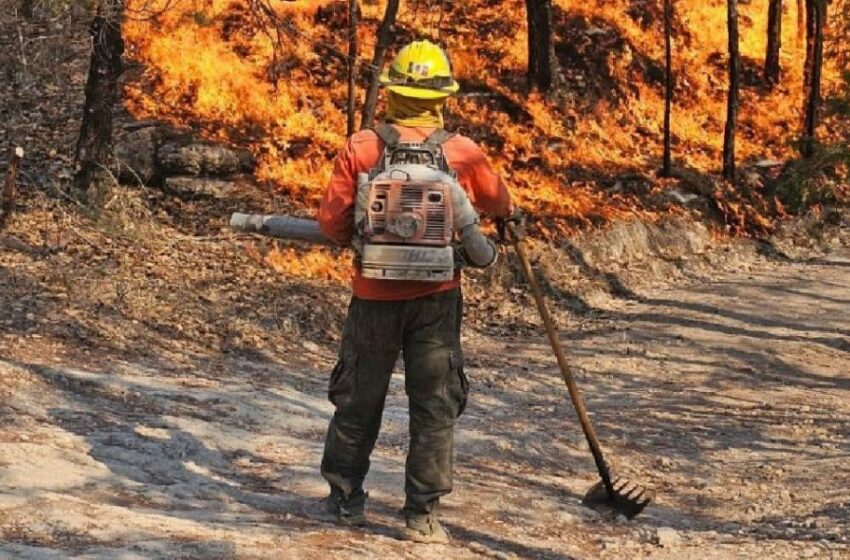 Avanza Gobierno de Sonora en el combate al incendio forestal en Nácori Chico – Telemax