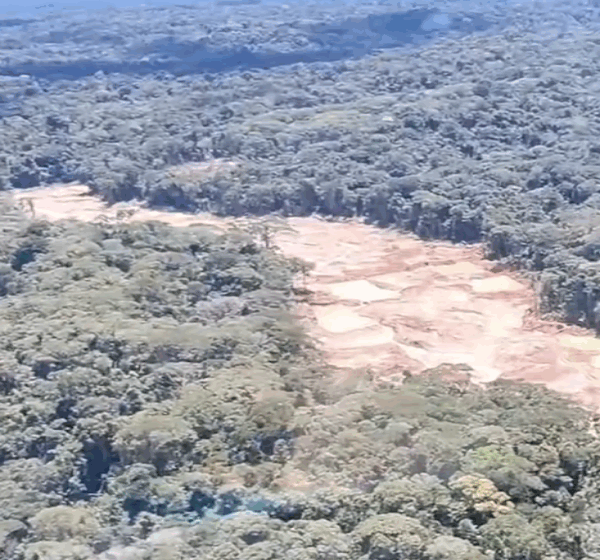 La minería ilegal ha destruido al menos 50 hectáreas de bosque en Morona Santiago