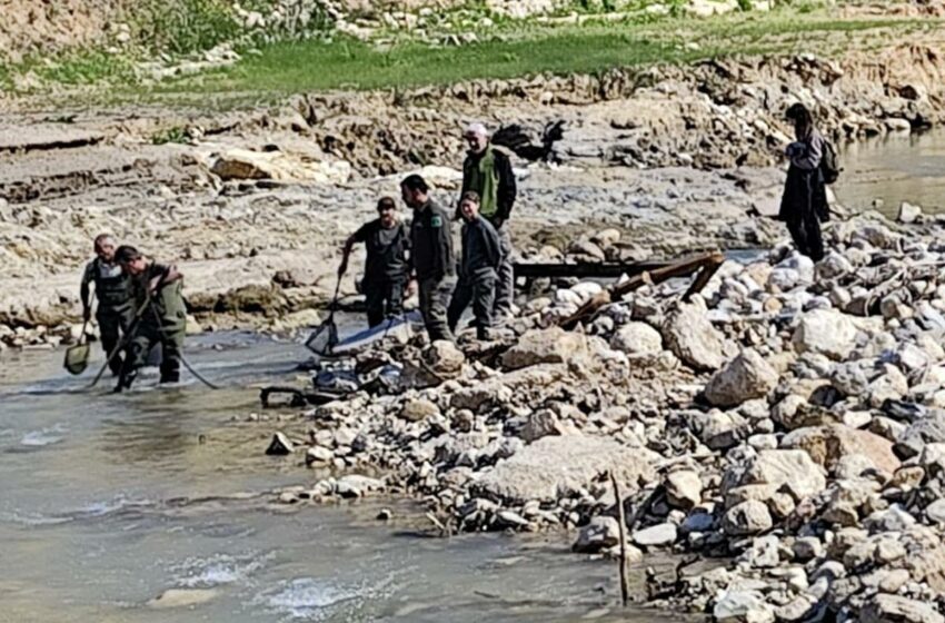 Medio Ambiente investiga la fauna que se salvó en el río del parque de Chera
