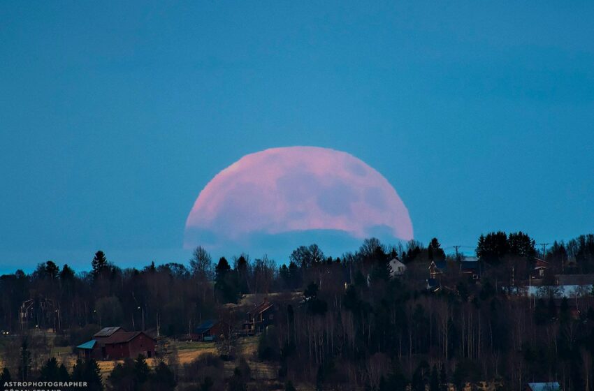 Eventos astronómicos de junio 2025: el mes de Venus, fresas, solsticios y cielos estrellados