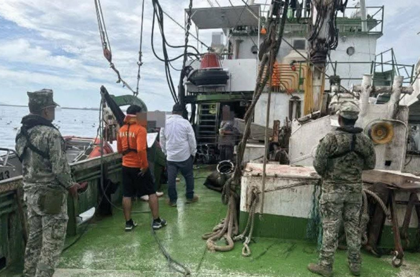 Marina asegura buque de Guaymas con 62 ejemplares de tiburón y cuatro de mantarraya