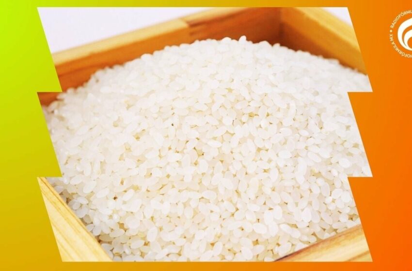 ¿Cómo identificar el arroz de plástico a simple vista y cuáles son las peores marcas?