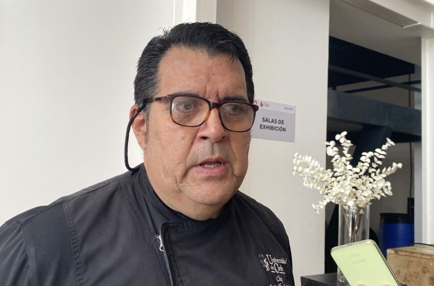 Quieren Impulsar la Pesca Responsable en Quintana Roo – Diario Cambio 22
