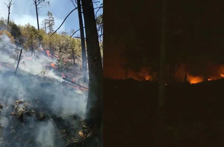 Aumenta el número de brigadistas para combatir el incendio forestal en Nácori Chico