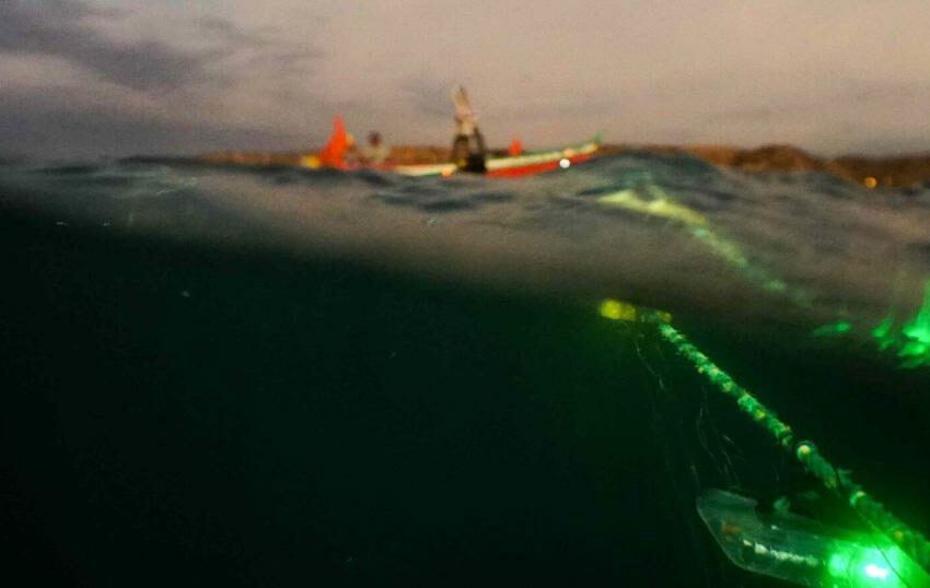 Luces de esperanza: la pesca con redes iluminadas protege a las tortugas marinas en el Perú