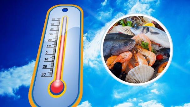 Ola de calor: 3 alimentos que debes evitar consumir – Imagen de Veracruz