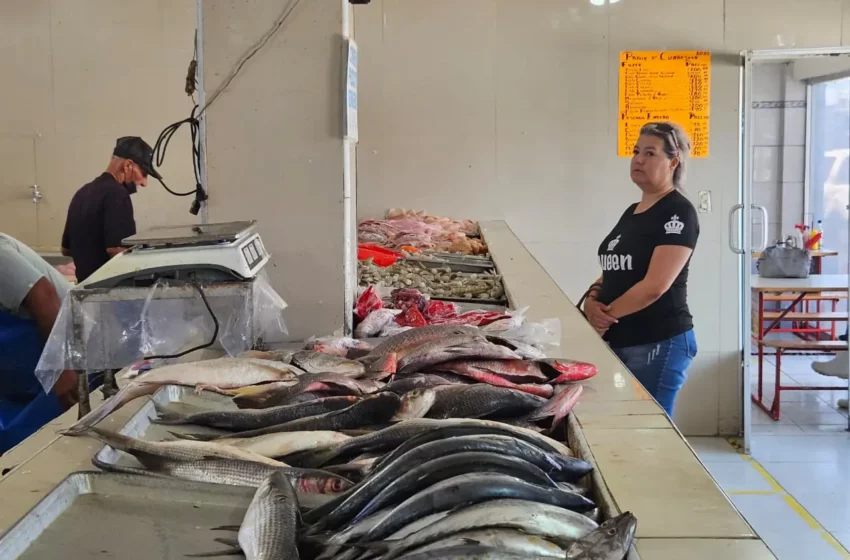 Se escasea el pescado en Cajeme – Diario del Yaqui