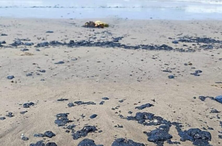 Cierran playas y suspenden pesca en Tabasco tras derrame de petróleo en Dos Bocas