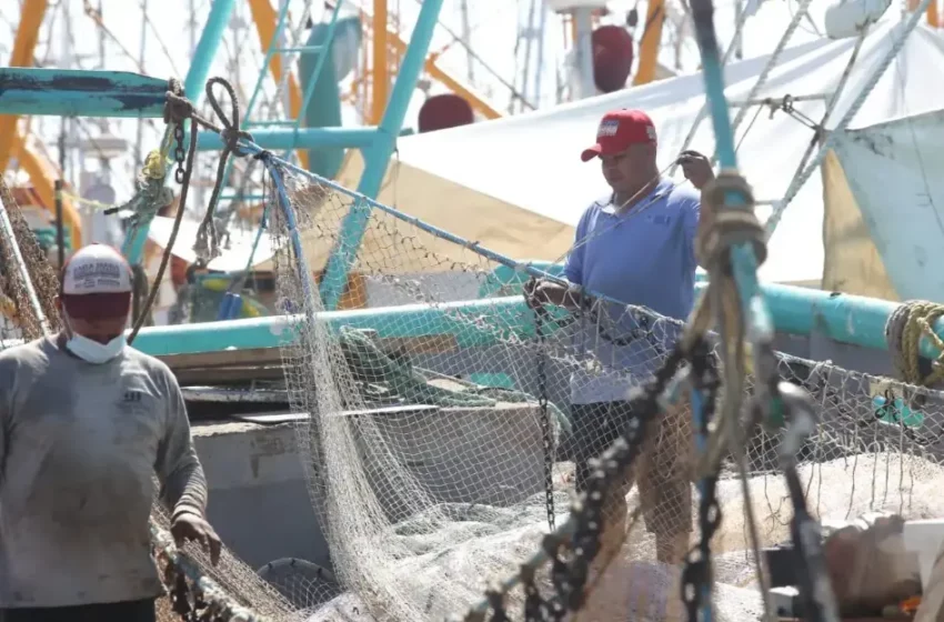 Ignoró Secretario de Agricultura federal a pescadores de Mazatlán durante gira en Sinaloa