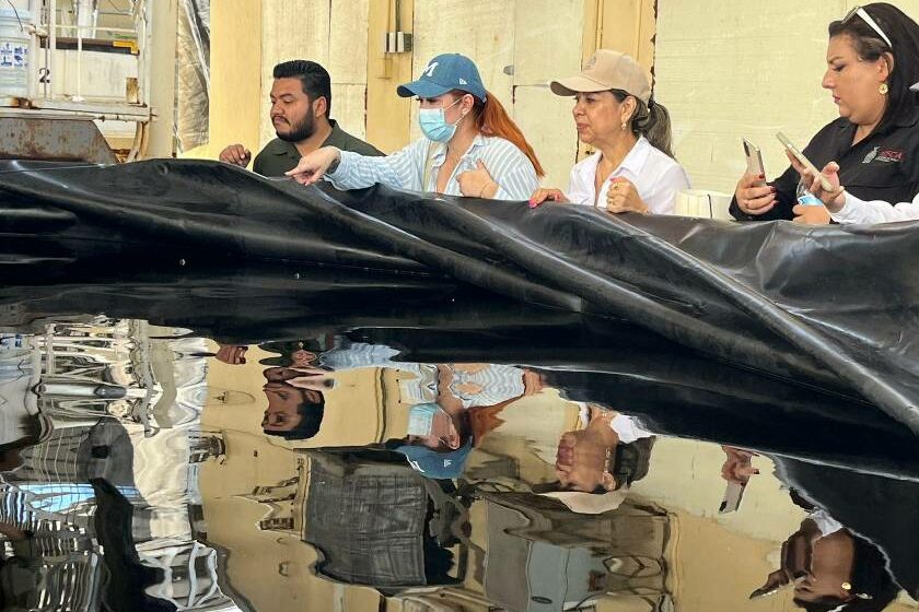 Reconoce Secretaría de Pesca labor del CIAD Mazatlán en acuicultura – Noroeste