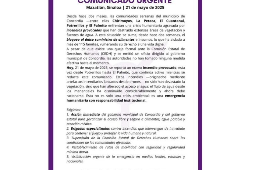 Colectivos declaran emergencia humanitaria en la sierra de Concordia – Periódico Noroeste