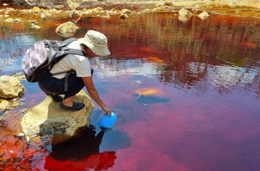 Más allá del oro: el coste medioambiental de la minería en El Salvador – RTVE.es