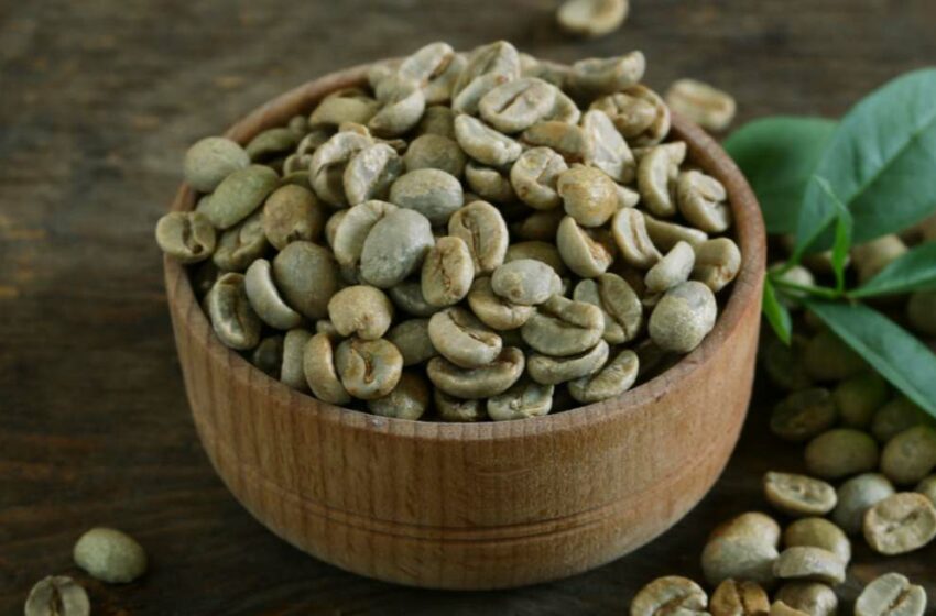 La subida del precio del café verde se desacelera pero continúa alto
